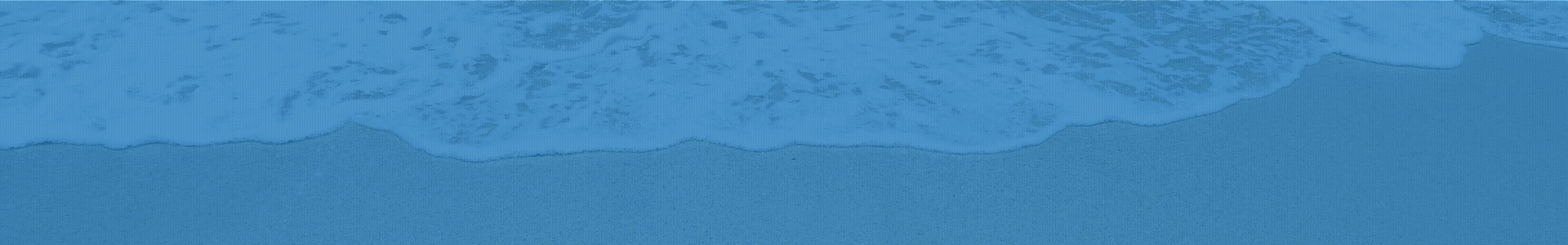 workation-banner-2026-v2-gif-data